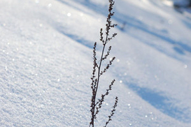 В Украину придет потепление