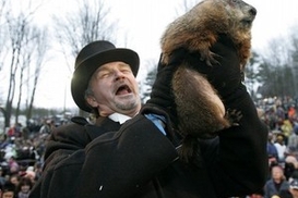 Как Америка отмечала День сурка (фото)