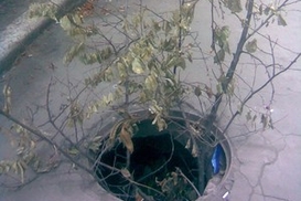 За год в столице украли 1300 крышек люков