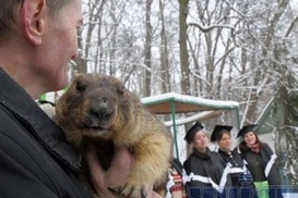 Харьковский сурок предсказал раннюю весну (фото)