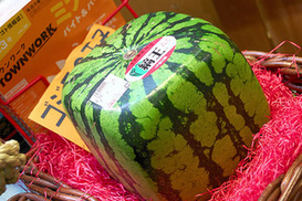 В Европе будут продавать квадратные арбузы (ФОТО)