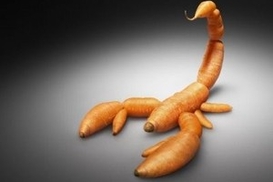 Маркировку «Без ГМО» хотят отменить