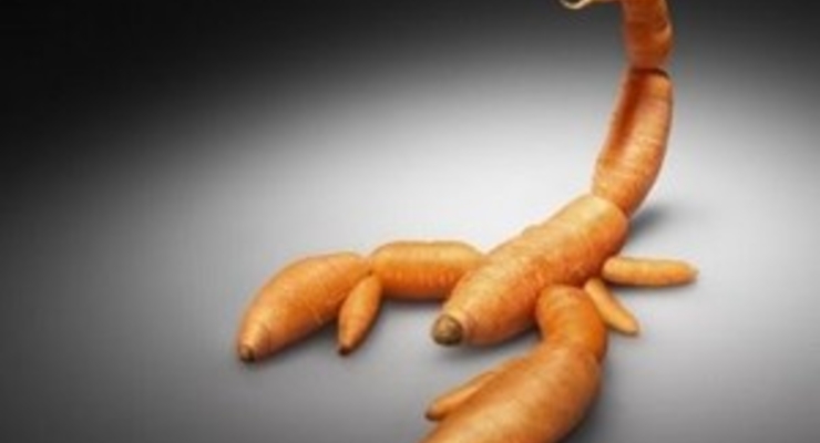 Маркировку «Без ГМО» хотят отменить