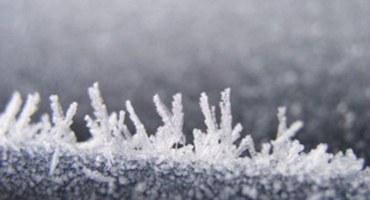 В Японии выбрали Мисс 2010 (ФОТО)