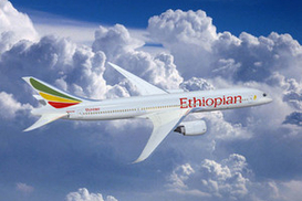 Названа возможная причина крушения эфиопского авиалайнера