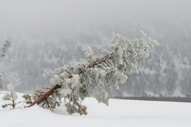 В Украине морозы убили уже 236 человек