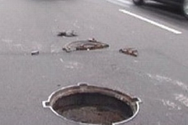 В столице в открытый люк с кипятком упала женщина: ее собака сварилась заживо