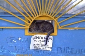 В столице закрили семь нелегальних обменников