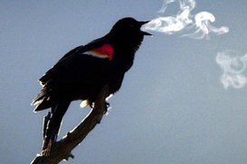 В Украине похолодает до - 30