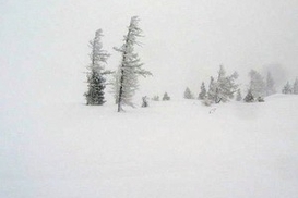 В Одесской области объявлено штормовое предупреждение