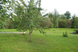 Рада снова запретила продажу сельхозземель