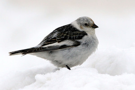 В Украине будет ухудшаться погода