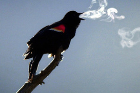 Завтра в столице до – 16 градусов мороза