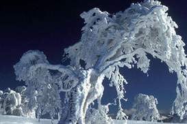 Погода на сегодня