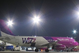 Wizz Air заявил, что не выгонял пассажиров из самолетами собаками