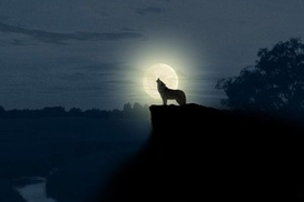 Сегодня самый короткий световой день в году