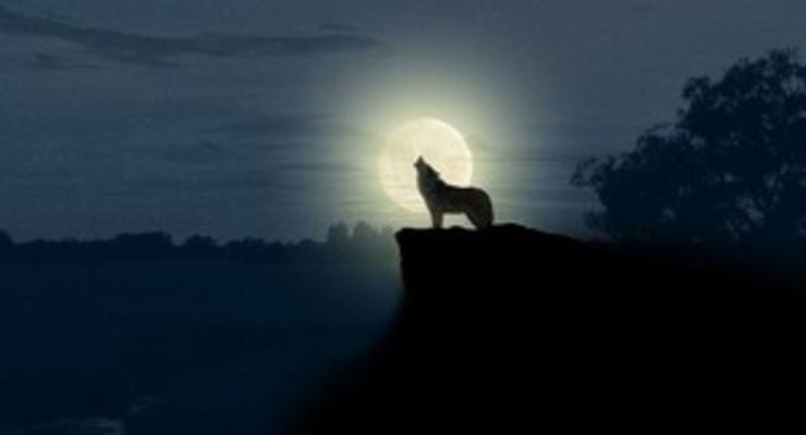 Сегодня самый короткий световой день в году