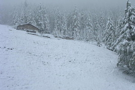 Стихия разбушевалась. Одесситов просят не выходить из дома