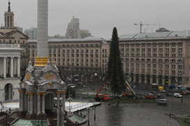 На Майдане уже установили елку (фото)