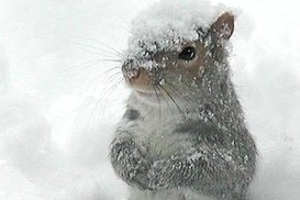 На выходных в Украине резко похолодает