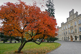 Погода на завтра