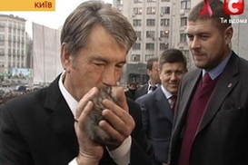 Ющенко отдал подаренного котенка в ветеринарную клинику на проверку (фото)
