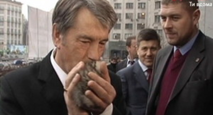 Ющенко отдал подаренного котенка в ветеринарную клинику на проверку (фото)