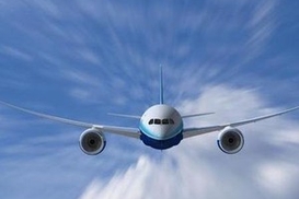 Секретарша «заминировала» самолет ради опаздывающего босса