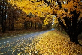 Прогноз погоды на завтра