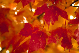 Прогноз погоды на завтра