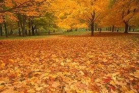 До конца осени в Украине будет тепло