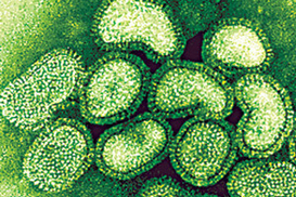 В Украине уже 354 жертвы гриппа