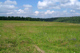 ВР преодолела вето Президента на закон об отчуждении частных земельных участков для общественных потребностей