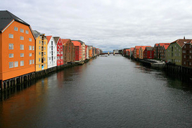 В Норвегии свиным гриппом болеют 900 тысяч человек