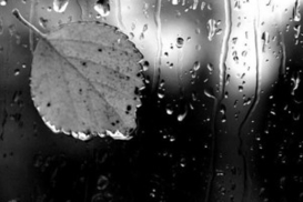 В конце недели в Украине будет дождливо