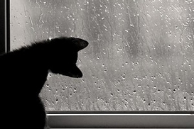 Завтра по Украине туман, осадки