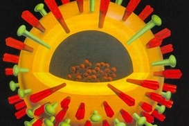 Свиным гриппом переболеет каждый второй