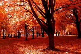 Завтра в Украине до +19