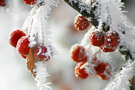 Завтра в Украине до 9 градусов мороза