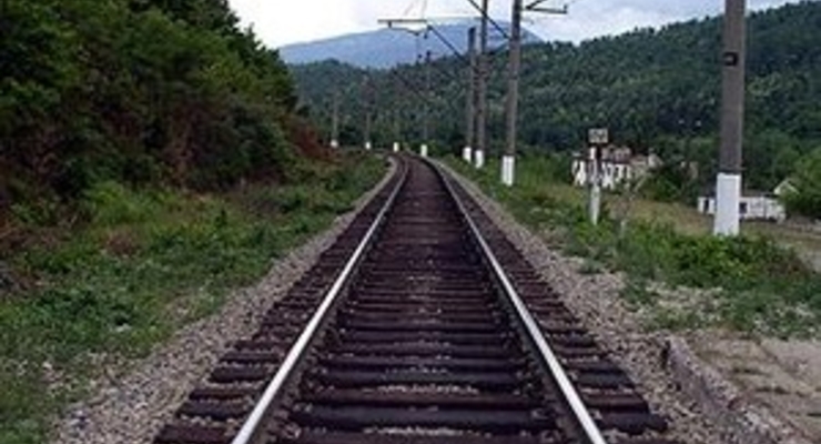 Больных гриппом из поездов будут высаживать на ближайшей станции