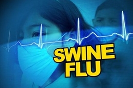 Князевич: В Украину пришел «свиной» грипп