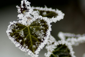 Завтра в Украине до - 10°