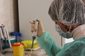 В Тернопольской и Ивано-Франковской областях из-за гриппа закрыли все учебные заведения