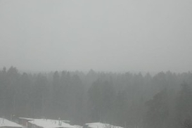 На выходных в Киеве дождь с мокрым снегом