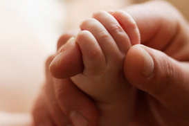 В страховую компанию «Галактика» введена временная администрация