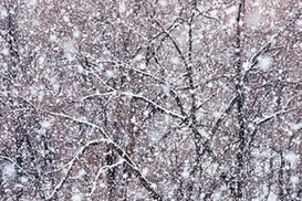 803 населенных пункта Украины все еще сидят без света