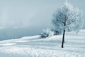 Завтра в Украине до 4 градусов мороза