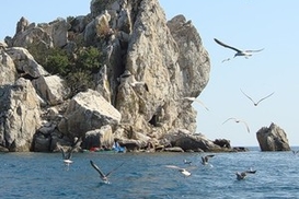 В Крыму со скалы упал житель Киевской области