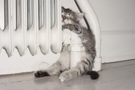 Отопление в Киеве будут включать в три этапа