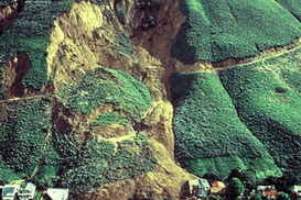 Из-за оползней на Филиппинах погибли более 90 человек